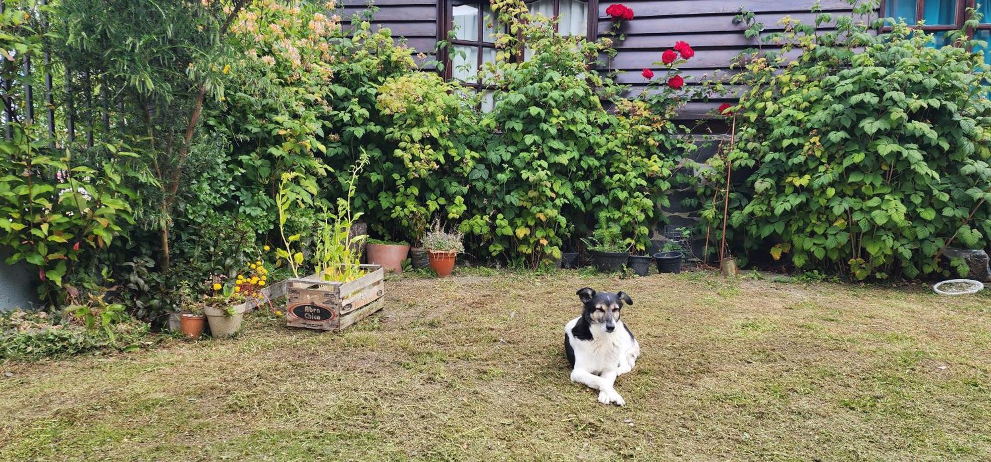La Casa De Frida *